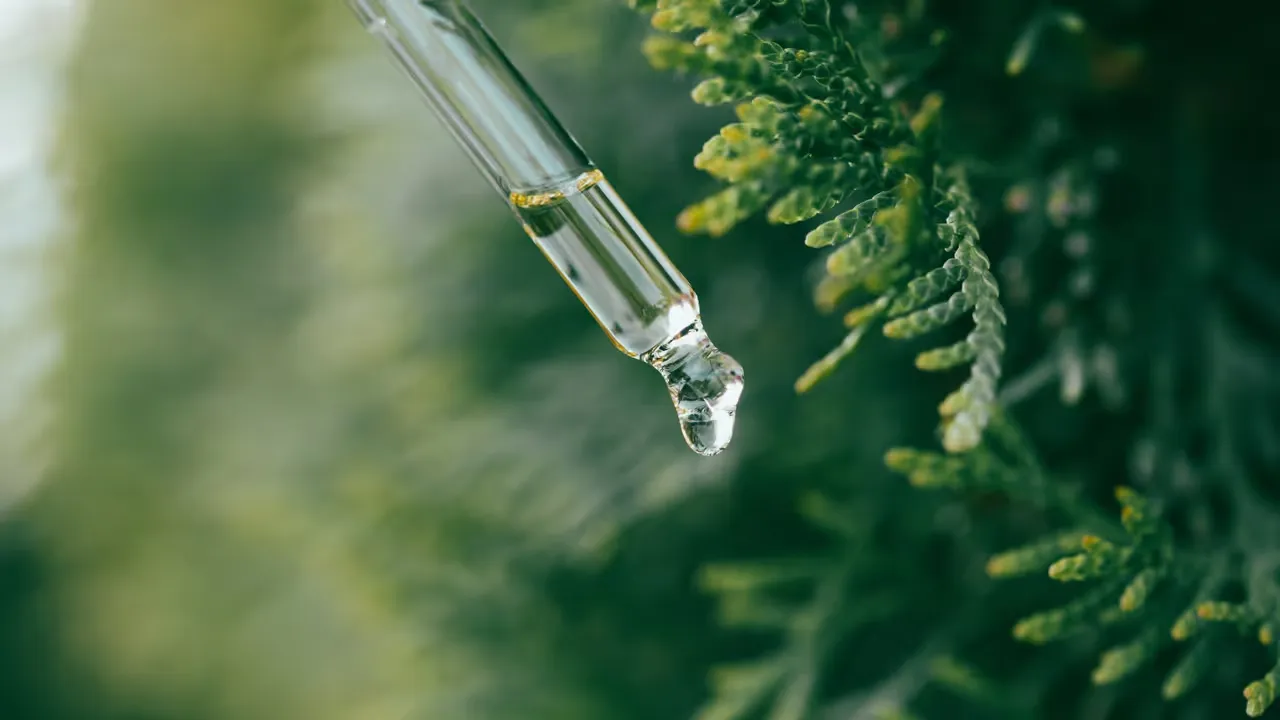 Dofternas magi för kropp och själ